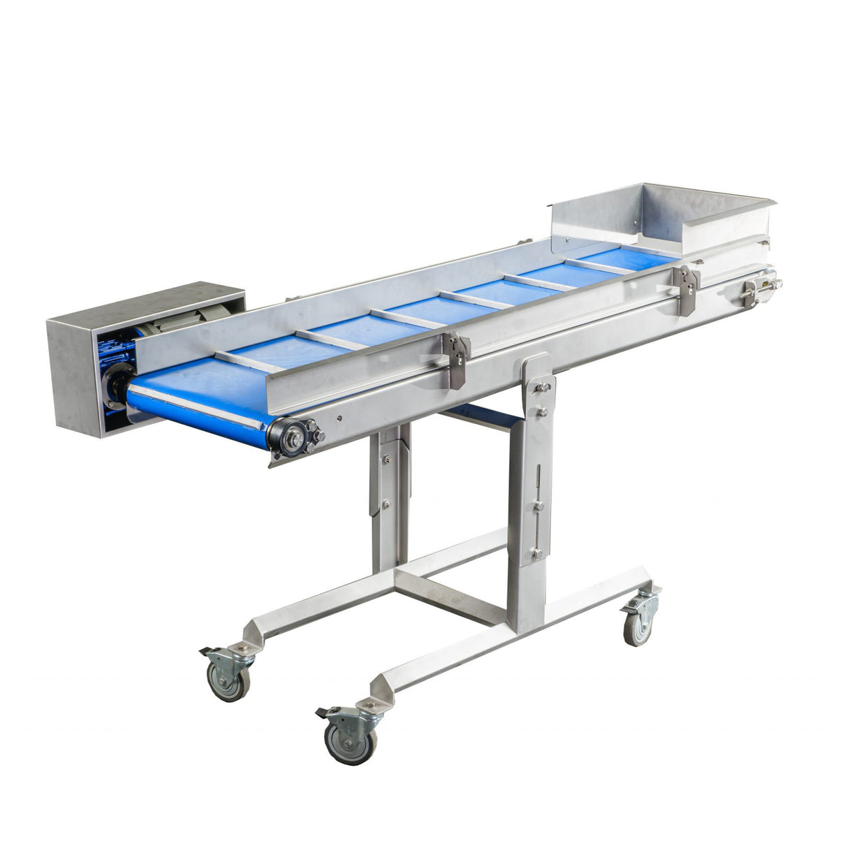 ProFruit Sorting Conveyer