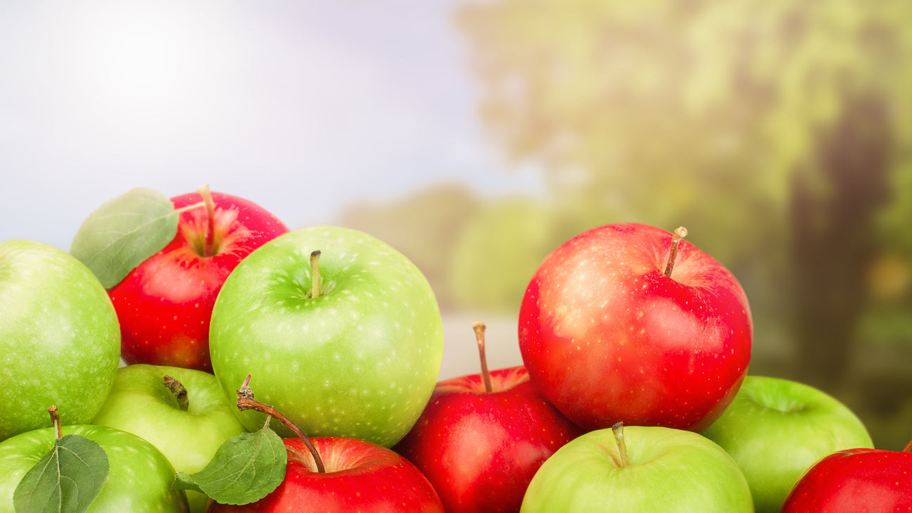 Fruit and vegetable processing equipment for washing, pressing and juice production