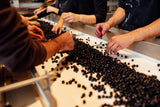 Grape Selection belt