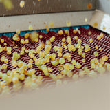 Roller sorter RSS