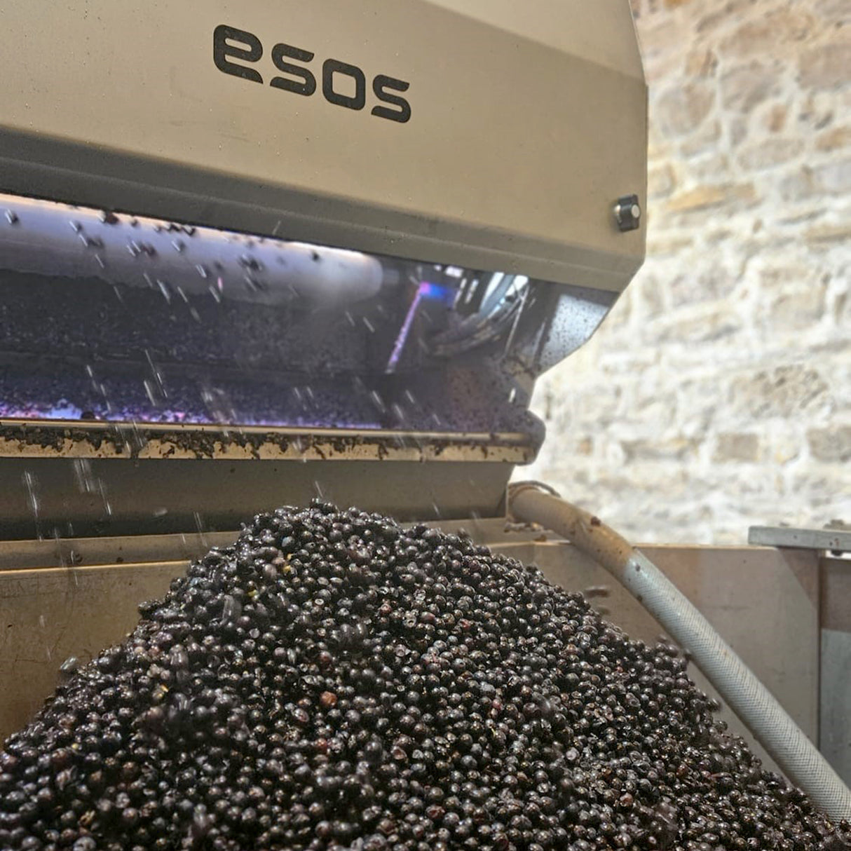 Optical sorting machine EOS AI